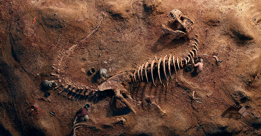 desenterrando-fosiles-de-dinosaurios-833x435.jpg
